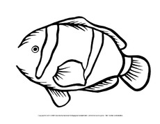 Fisch-zum-Thema-Gefühle-13.pdf
